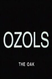 The Oak 1997 on netflix