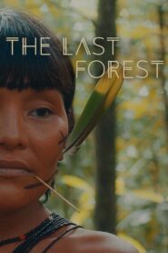 The Last Forest 2021 on netflix