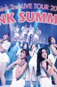 Apink 2nd LIVE TOUR 2016 -PINK SUMMER- 2016 on netflix
