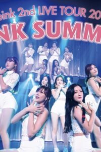 Apink 2nd LIVE TOUR 2016 -PINK SUMMER- 2016 on netflix