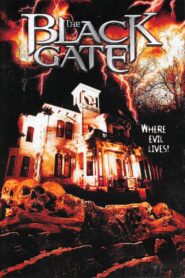 The Darkening 1995 on netflix