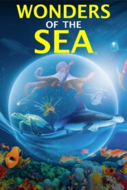 Wonders of the Sea 3D 2017 on netflix