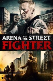 Arena of the Street Fighter 2012 on netflix