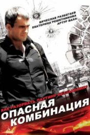 Dangerous Combination 2008 on netflix