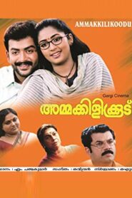 Ammakilikkoodu 2003 on netflix