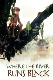 Where the River Runs Black 1986 on netflix