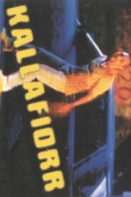 Kallafiorr 2000 on netflix