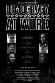 Democracy at Work 2012 on netflix