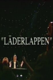 Läderlappen 1995 on netflix