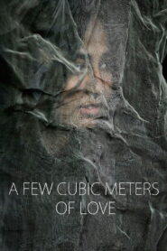 A Few Cubic Meters of Love 2014 on netflix