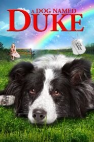 A Dog Named Duke 2012 on netflix