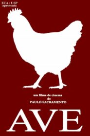 Ave 1992 on netflix
