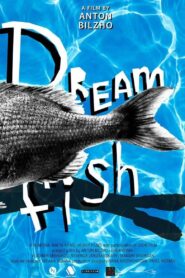Dreamfish 2016 on netflix