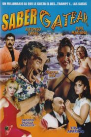 Saber gatear 1995 on netflix
