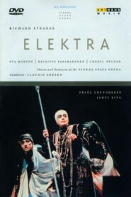 Elektra 1989 on netflix