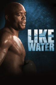Anderson Silva: Like Water 2011 on netflix