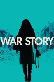 War Story 2014 on netflix