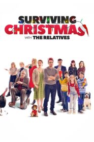 Surviving Christmas with the Relatives 2018 on netflix
