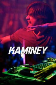 Kaminey 2009 on netflix