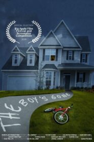 The Boy’s Gone 2020 on netflix