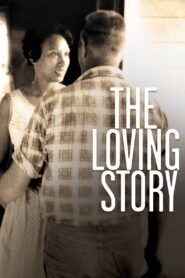 The Loving Story 2011 on netflix