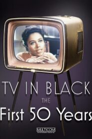 TV in Black: The First Fifty Years 2004 on netflix