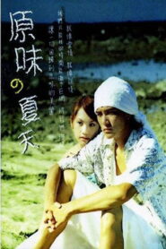 原味的夏天 2004 on netflix