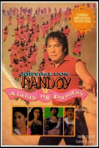 Pandoy: Alalay ng Panday 1993 on netflix