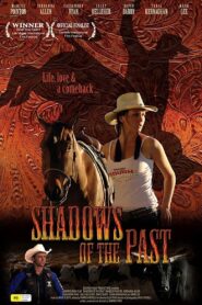 Shadows of the Past 2009 on netflix