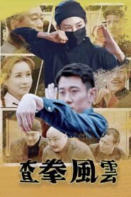 查拳风云 2024 on netflix
