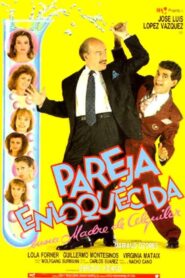 Maddened Couple Seeks Surrogate Mother 1990 on netflix