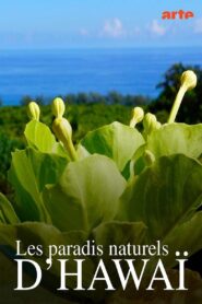 Hawaiis versteckte Paradiese 2022 on netflix
