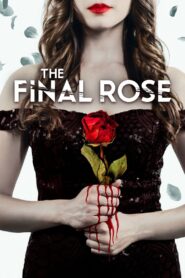 The Final Rose 2022 on netflix