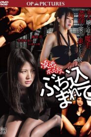 Ryōjoku hostess: Buchikomarete 2019 on netflix
