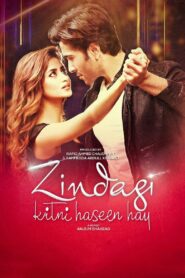 Zindagi Kitni Haseen Hay 2016 on netflix