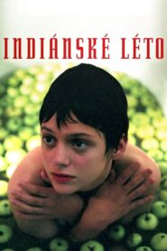 Indian Summer 1995 on netflix