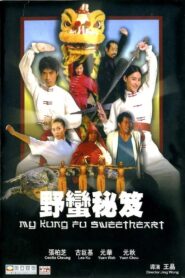 My Kung Fu Sweetheart 2006 on netflix