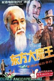 东方大魔王 1984 on netflix