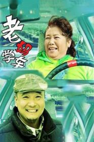 老妈学车 2005 on netflix