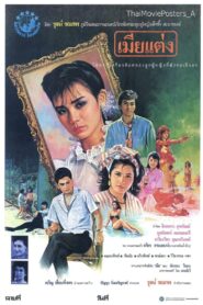 Legal Wife 1986 on netflix