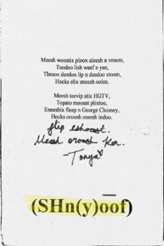(SHn(y)o͞of) 2019 on netflix