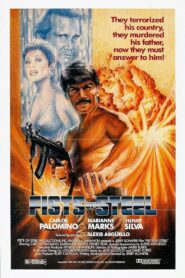 Fists Of Steel 1991 on netflix