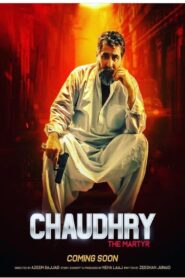 Chaudhry 2022 on netflix