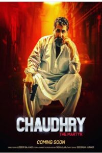 Chaudhry 2022 on netflix