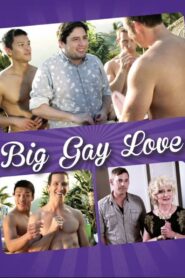 Big Gay Love 2013 on netflix