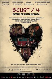 Scurt/4: Istorii de inimã neagrã 2014 on netflix