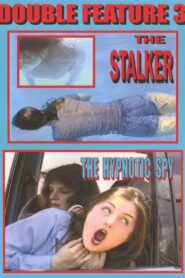The Stalker 1997 on netflix