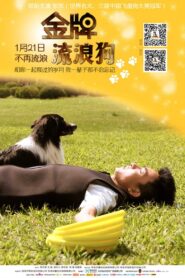 A Gold Medal Winning Tramp Dog 2014 on netflix