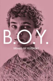B.O.Y. – Bruises of Yesterday 2024 on netflix