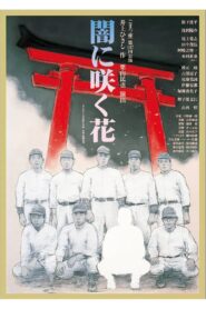 闇に咲く花 2023 on netflix